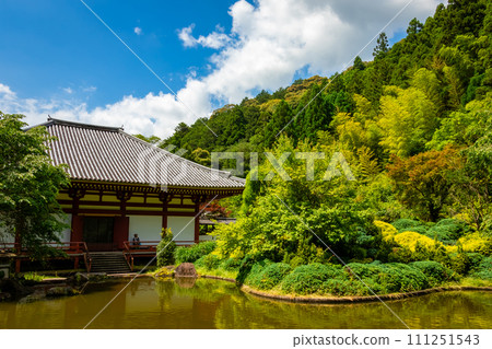 大阪府池田市寬慈寺的新綠和藍天白雲 大阪府池田市寬慈寺的新綠和藍天白雲 111251543