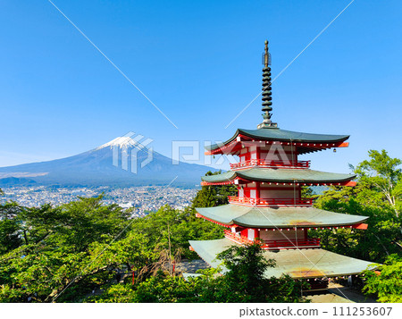 Fresh greenery and Mt. Fuji (Arakurayama Sengen Park) 111253607