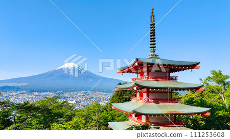 Fresh greenery and Mt. Fuji (Arakurayama Sengen Park) 111253608