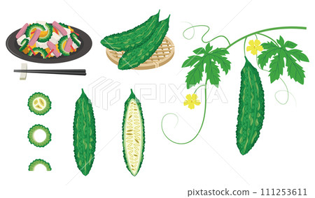 新鮮夏季蔬菜苦瓜與苦瓜 champuru 111253611