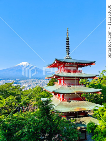 清新的綠意和富士山(新倉山淺間公園) 清新的綠意和富士山(新倉山淺間公園) 111253630