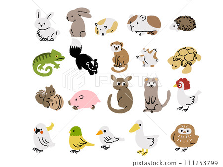 Illustration set of various small pet animals Illustration set of various small pet animals 111253799