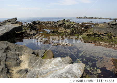Seaside environment at low tide Seaside environment at low tide 111254783