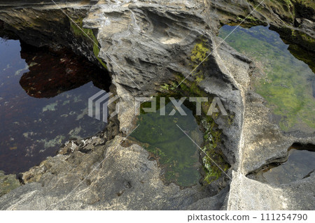Various tidal pools, rocky shores at low tide, seaside environment 111254790