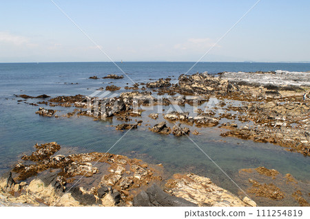 Sea with low tide, rocky shore 111254819
