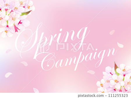 Cherry blossom watercolor background illustration 111255323