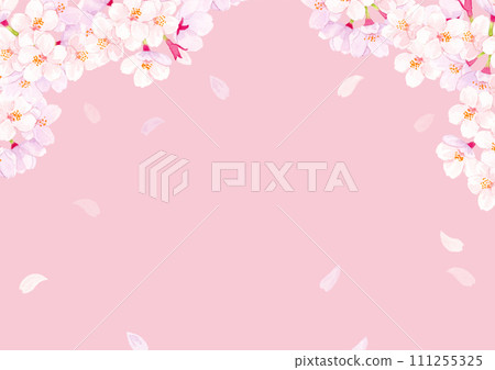 櫻花水彩背景圖 111255325