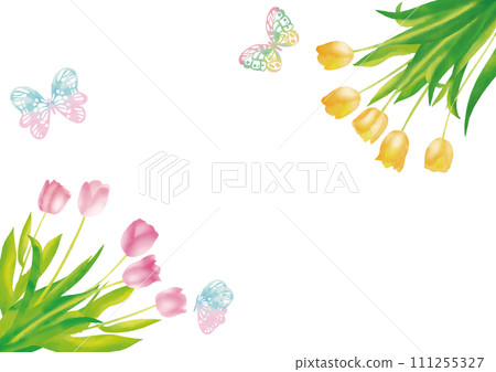 水彩風格粉紅色和黃色鬱金香和蝴蝶框架 111255327