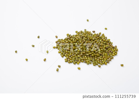 綠豆、豆芽種子、白色背景上放置的綠豆 111255739