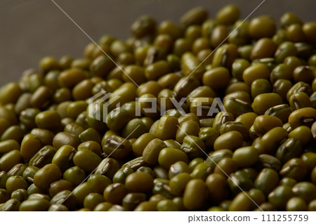 Harvested mung beans, bean sprout seeds, mung beans 111255759