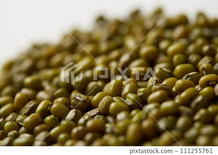 Harvested mung beans, bean sprout seeds, mung beans 111255761