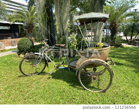 old vintage tricycle on a lawn no people. vertical front view. 111256568