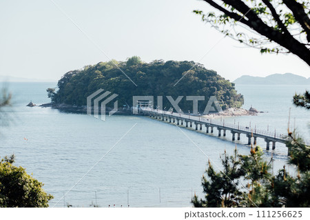 Yaotomi Shrine, Takeshima, Gamagori City, Aichi Prefecture Yaotomi Shrine, Takeshima, Gamagori City, Aichi Prefecture 111256625