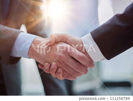 This merger will see the potential growth of our business This merger will see the potential growth of our business 111256794