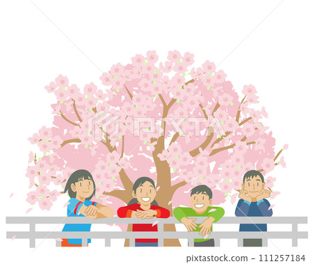 Illustration of children looking at cherry blossoms in full bloom 111257184