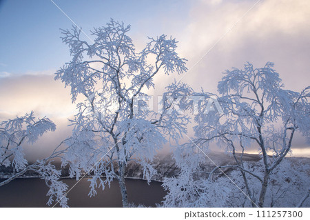 摩週湖有美麗的白霜 111257300