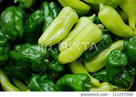 Green pepper and paprika20220903 Green pepper and paprika20220903 111257306