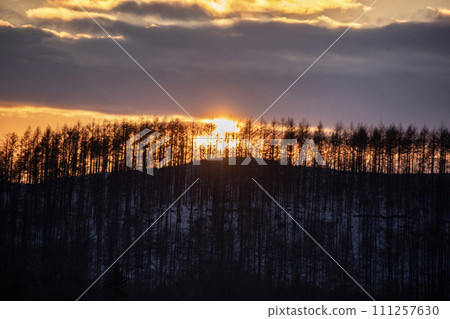 sunset on the snow field sunset on the snow field 111257630