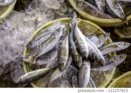 魚市出售的新鮮竹莢魚的圖像 魚市出售的新鮮竹莢魚的圖像 111257823