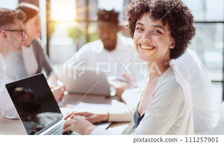 Smiling professional business leaders and employees group team portrait 111257901