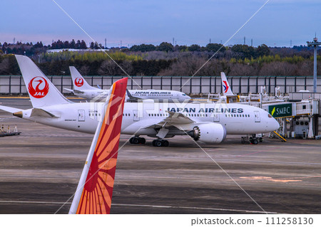 Japan's Chiba cityscape - View of Air India's B787-8, JALB787, etc. from Narita Airport 2 111258130
