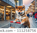 Shiba Inu shopping with cart AI generated material 111258756