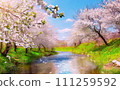 Sakura blooming river AI generated material 111259592