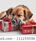 Dog sleeping as a gift pillow AI generated material 111259596