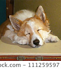 Dog sleeping using a box as a pillow AI generated material 111259597