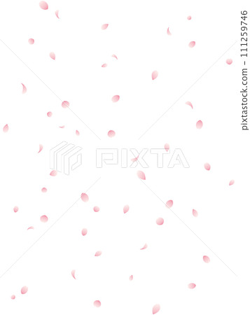 Vertical illustration of a background of dancing cherry blossom petals Vertical illustration of a background of dancing cherry blossom petals 111259746