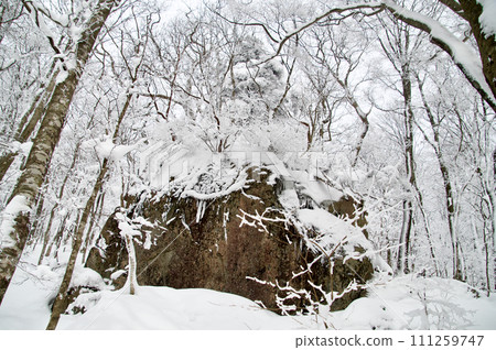 Mt. Hiba beech forest snow scene Hietsu rock snow cover 111259747