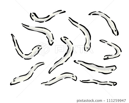 銀魚的線描插圖素材。一張一張繪製的離散的、單獨的插圖。 111259947