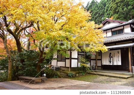 京都城市賓館「大原之裡」和黃葉 京都城市賓館「大原之裡」和黃葉 111260089