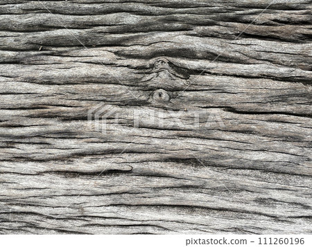 Surface eroded by time,Old wood background. detail of old wood dry texture backgroundSurface eroded by time,Old wood background. detail of old wood dry texture background Surface eroded by time,Old wood background. detail of old wood dry texture backgroundSurface eroded by time,Old wood background. detail of old wood dry texture background 111260196