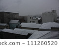 Kanto snow 1 111260520