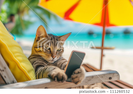 Kitten looking at smartphone on a tropical beach Kitten looking at smartphone on a tropical beach 111260532