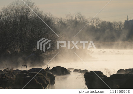 Wild birds in the air storm 111260968