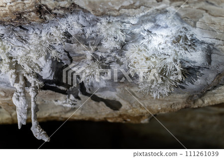 Mysterious Cave Formations with Intricate Crystal Growth Mysterious Cave Formations with Intricate Crystal Growth 111261039