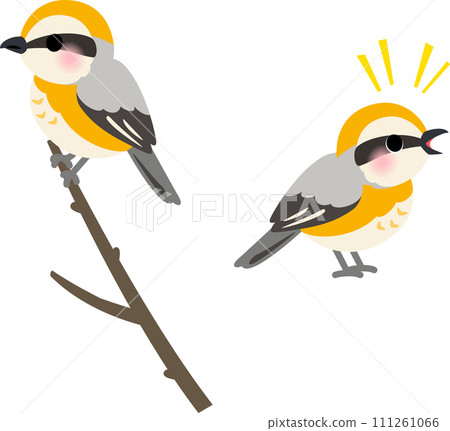 棲息在樹枝的Moz 111261066