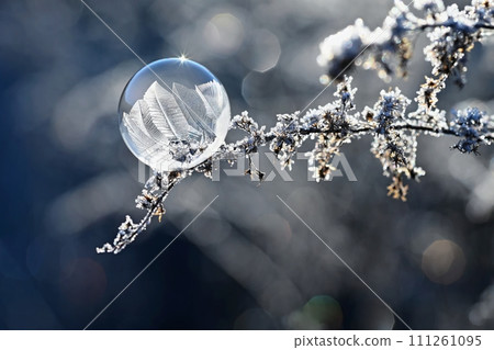 Frozen bubble in nature. A beautiful macro shot of nature in winter. Concept for environment, water and frost. Frozen bubble in nature. A beautiful macro shot of nature in winter. Concept for environment, water and frost. 111261095