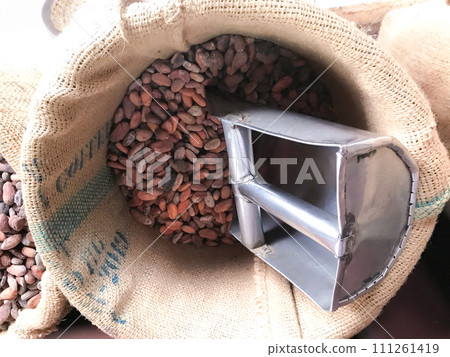 一袋可可豆 一袋可可豆 111261419