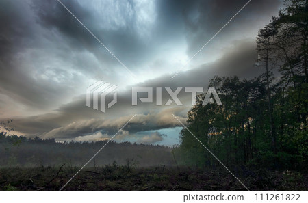 Ominous Twilight over the Forest Ominous Twilight over the Forest 111261822