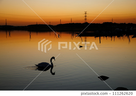 Inbanuma in the sunset 111262620