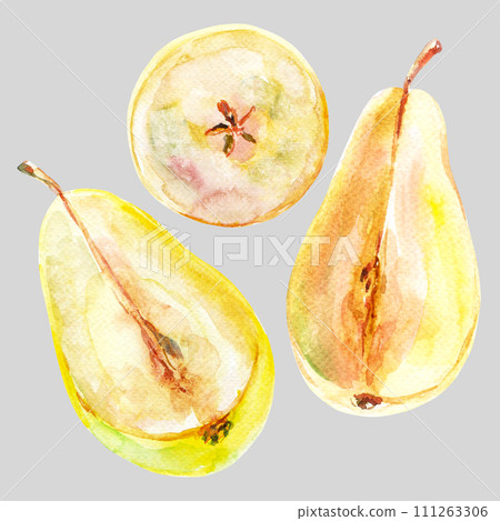 Set of fresh ripe yellow honey pear fruits. Hand drawn watercolor illustration. Delicious aromatic fruit ripened on a tree 111263306