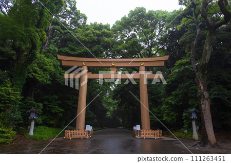 Early summer in Tokyo, Meiji Shrine, First Torii Early summer in Tokyo, Meiji Shrine, First Torii 111263451