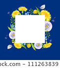 watercolour summer background with dandelion, butterfly, blowball, seed, hand drawn sketch, spase for text 111263839