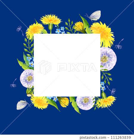 watercolour summer background with dandelion, butterfly, blowball, seed, hand drawn sketch, spase for text 111263839