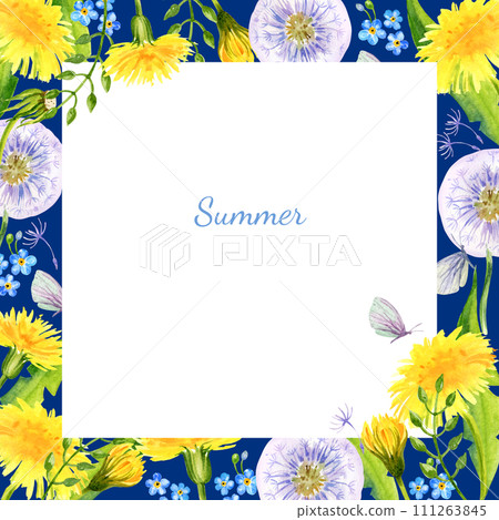 watercolor square white frame with summer field flowers, hand draw illustration of yellow dandelions and blow balls, leaves, herbs, butterfly on blue background watercolor square white frame with summer field flowers, hand draw illustration of yellow dandelions and blow balls, leaves, herbs, butterfly on blue background 111263845