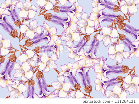 Paulownia flower background floral pattern textile watercolor illustration 111264121