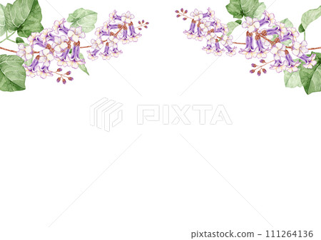 Paulownia flower background frame watercolor illustration Paulownia flower background frame watercolor illustration 111264136